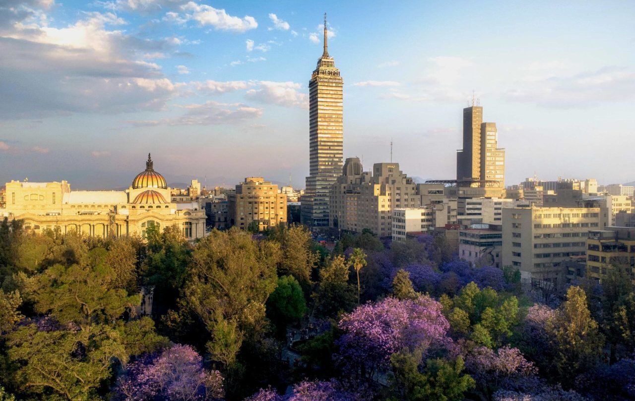 mexico_city_jacarandas_skyline_stock_jsvwdb